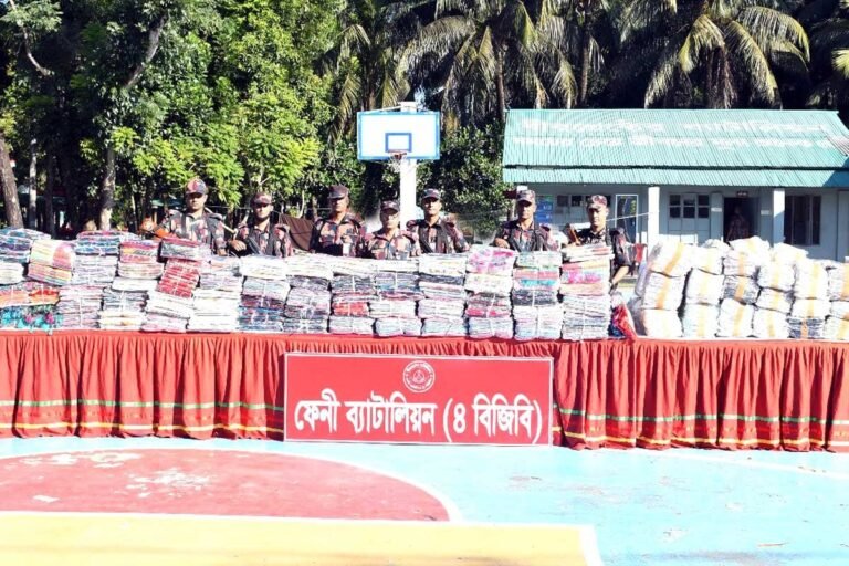 ফেনী সীমান্তে কোটি টাকার ভারতীয় পণ্য জব্দ