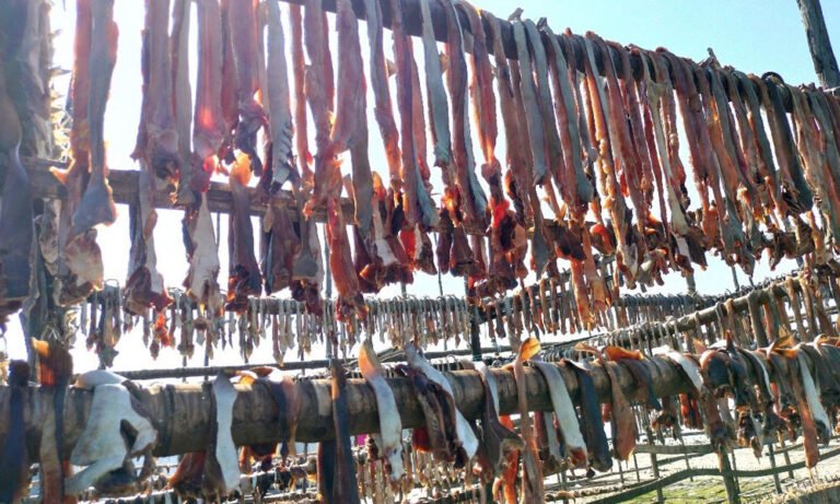 কুয়াকাটায় অবৈধ হাঙর শিকারের অদৃশ্য অর্থনীতি