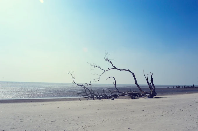অপরূপ সৌন্দর্যের তারুয়া সৈকতে পর্যটকদের ভিড়, জানুন যেভাবে পৌঁছাবেন
