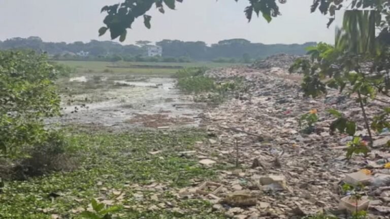 ১৩৩ বছরের পুরোনো পটুয়াখালী পৌরসভায় আবর্জনার ডাম্পিং স্টেশন নেই