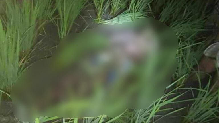 ইঁদুরফাঁদে বিদ্যুতস্পৃষ্ট হয়ে কৃষকের মৃত্যু