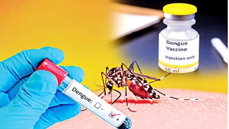 ডেঙ্গু ভ্যাকসিন কতটা কার্যকর, বাংলাদেশ কেন ব্যবহার করে না
