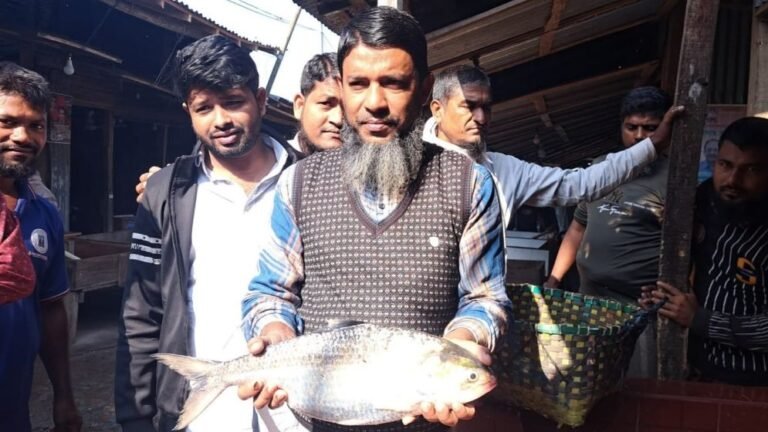 মেঘনায় জেলের জালে ২ কেজি ৭৫ গ্রামের রাজা ইলিশ, নিলামে বিক্রি