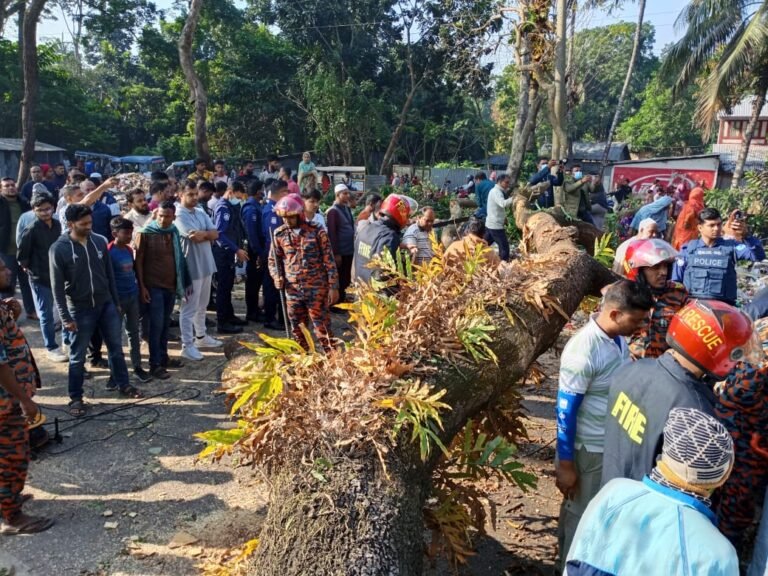 মাদারীপুরে ঢাকা বরিশাল মহাসড়ক রাস্তা গাছ কেটে অবরোধ করে দুর্বৃত্তরা