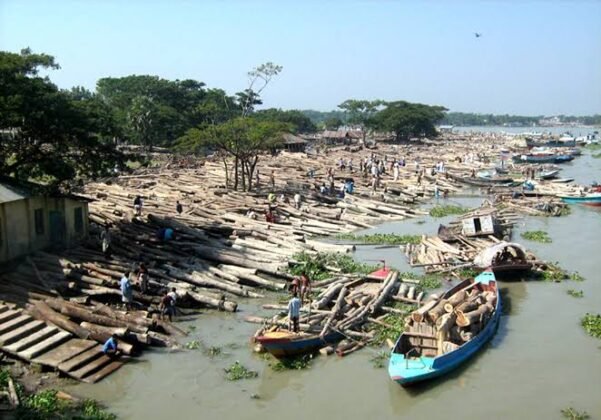 ঐতিহ্য ও জীবিকার মেলবন্ধন দেশের সর্ববৃহৎ নেছারাবাদ ভাসমান কাঠের বাজার