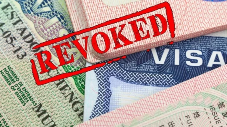 ৯ মাসে ৮০ হাজার ভিসা বাতিল করলো ট্রাম্প প্রশাসন