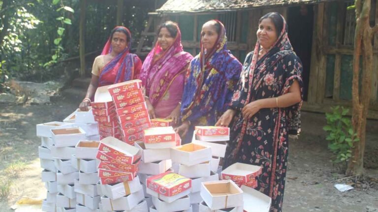 মিষ্টিকার্টন বানিয়ে স্বাবলম্বী বরগুনার ৪ নারী
