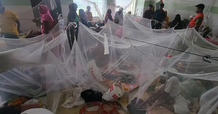 বরগুনায় ডেঙ্গুর ভয়াবহতা, পাথরঘাটায় সবচেয়ে বেশি আক্রান্ত