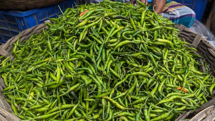 বরিশালে সবজির দাম কমলেও ঝাঁঝ বেড়েছে কাঁচামরিচের