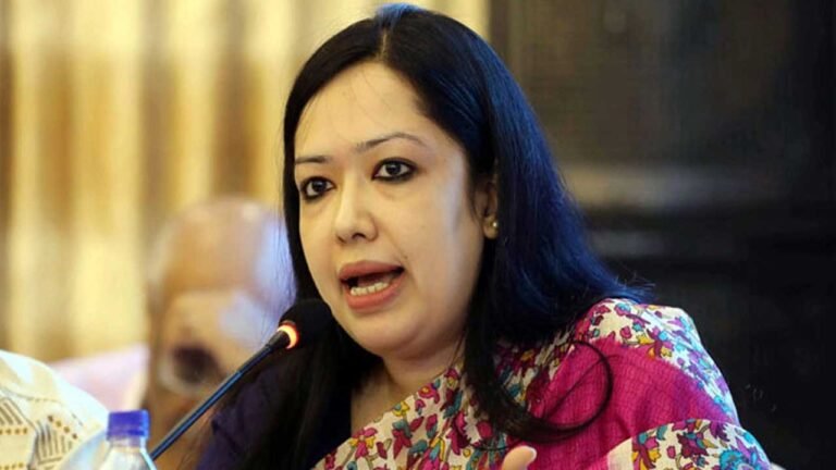 জাতীয় নির্বাচন নিয়ে অনিশ্চয়তার কথা বললেন রুমিন ফারহানা