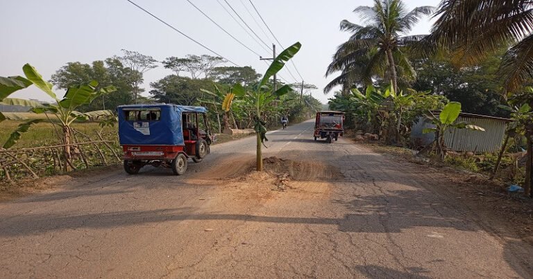 বেহাল বেতাগী–মির্জাগঞ্জ সড়ক: দুর্ঘটনা ঠেকাতে মাঝরাস্তায় কলাগাছ