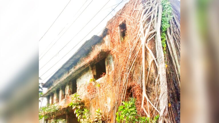 বরগুনায় আদালতের প্রবেশপথ ঝুঁকিপূর্ণ, বিচারপ্রার্থীদের জীবনহানির আশঙ্কা