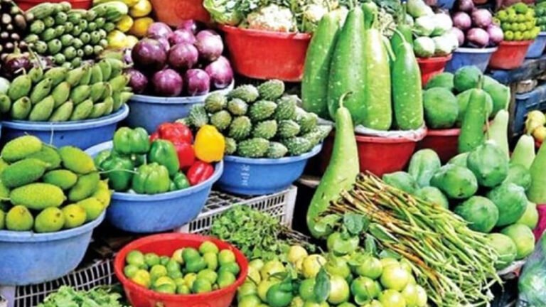 বাম্পার ফলনেও লোকসানে বরিশালের সবজি চাষিরা