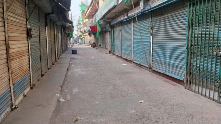 শহীদ ওসমান হাদির স্মরণে নলছিটিতে অর্ধদিবস দোকানপাট বন্ধ