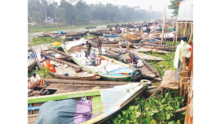 নদীর জলে ভেসে চলে বেচাকেনা: নাজিরপুরের ভাসমান হাট