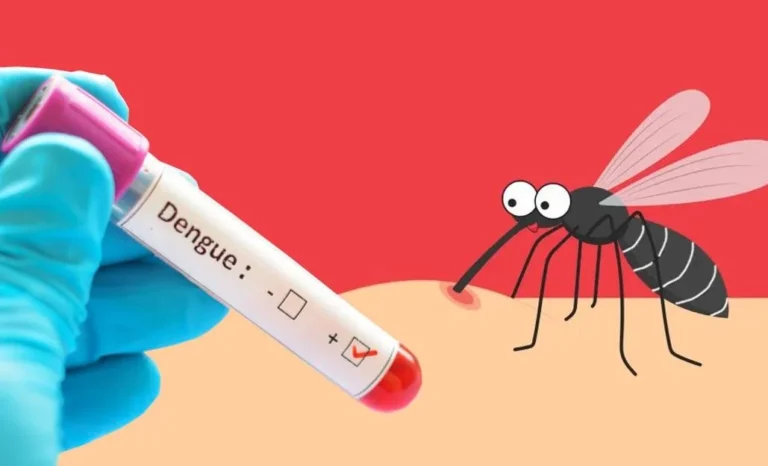 ডেঙ্গুতে ২৪ ঘণ্টায় আরও ১৬৫ জন হাসপাতালে