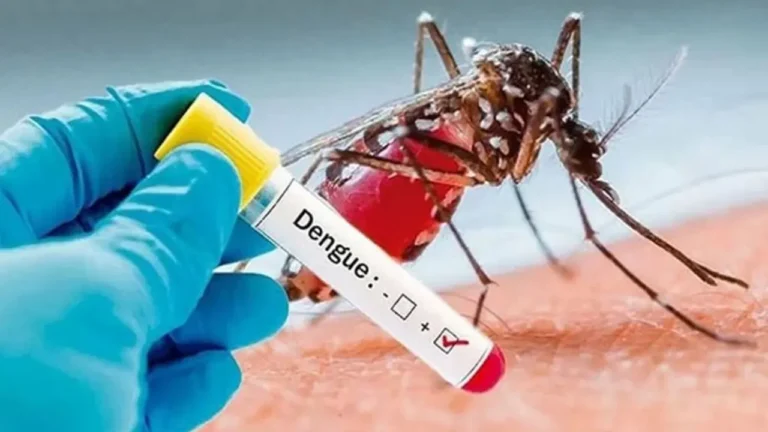 বরিশাল বিভাগে ডেঙ্গুতে প্রাণ গেল অর্ধশতাধিকের