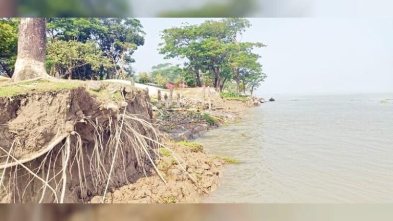 বরগুনায় শুষ্ক মৌসুমেও থামছে না নদী ভাঙন, আতঙ্কে হাজারো পরিবার