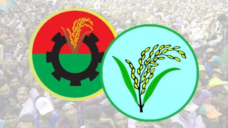 বিএনপির মনোনয়নে চমক আসছে যেসব আসনে, সুখবরের অপেক্ষায় একাধিক নেতা