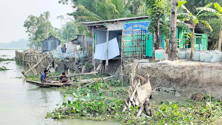 পিরোজপুরে নদী ভাঙনে বিলীন হচ্ছে বাজার, সড়ক ও মসজিদ