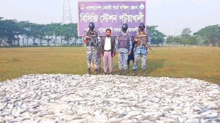 পটুয়াখালী টোলপ্লাজায় বড় অভিযান, ট্রাকে মিললো তিন টন জাটকা