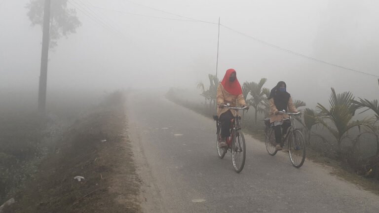 যশোরে তীব্র শীত, টেকনাফে গরম: দেশের তাপমাত্রার উল্টো চিত্র
