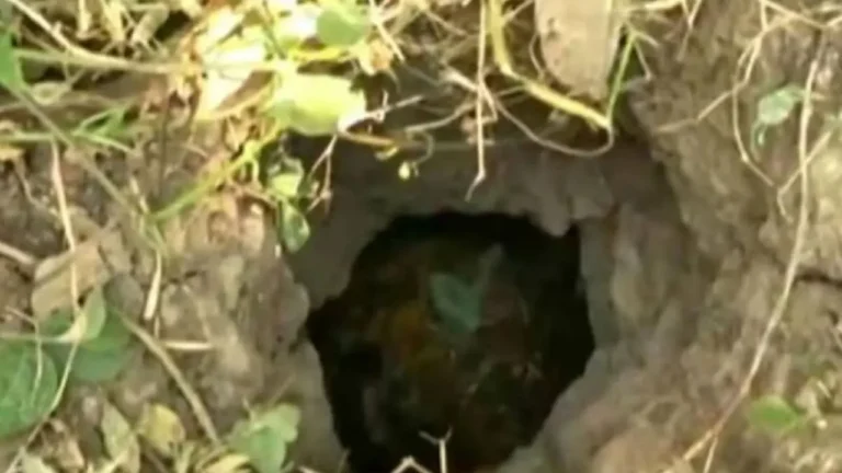 নলকূপের গর্তে পড়ে নিভে গেল মিসবাহর প্রাণ