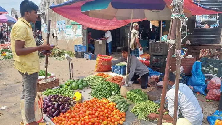 বরিশালে স্বস্তি, কমেছে কাঁচামরিচ ও পেঁয়াজের দাম