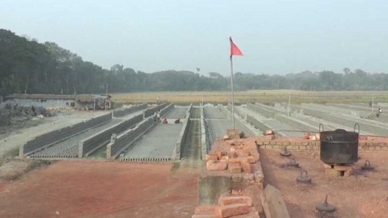 অবৈধ ইটভাটার আগ্রাসনে ঝালকাঠিতে ধ্বংস হচ্ছে ফসলি জমি, বিপন্ন পরিবেশ