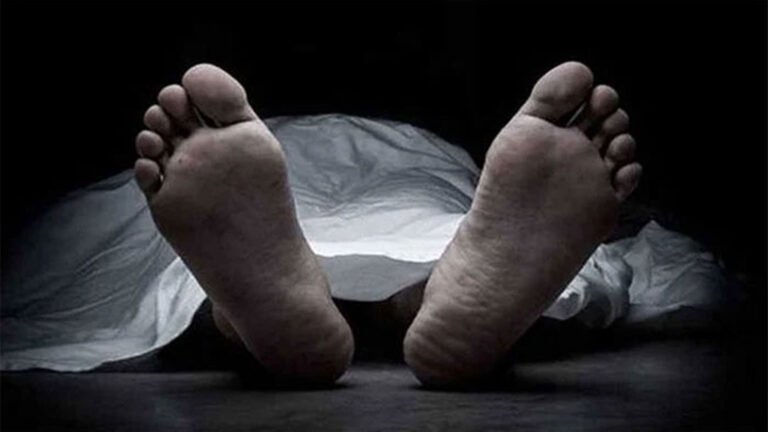 মেঘনা নদীতে ট্রলারডুবি: নিখোঁজ দুই জেলের মরদেহ উদ্ধার