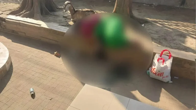 কাফনের কাপড় হাতে পার্কের বেঞ্চে শুয়ে জীবন ছুঁয়ে দেখা বরিশালে তরুণীর বিষপানে হৃদয়বিদারক গল্প