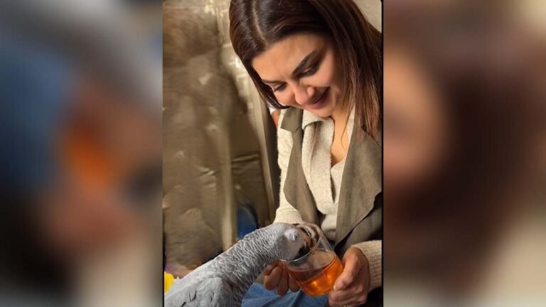 চা খাচ্ছে জয়ার সঙ্গী মন্টু, নেটদুনিয়ায় ভাইরাল মুহূর্ত