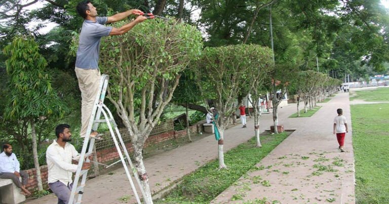 বেলপার্কে ফিরছে প্রাণ, তবু চিন্তার কারণ অবৈধ ফেরিওয়ালা