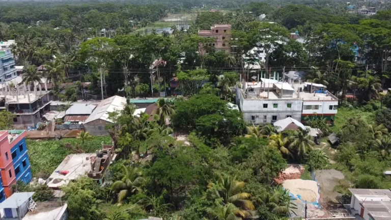 ডেঙ্গুর শঙ্কায় আতঙ্কিত বরগুনাবাসী, আগাম প্রস্তুতি নিয়ে প্রশ্ন