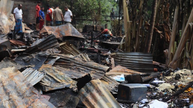 পিরোজপুরের শাড়িকতলা বাজারে ভয়াবহ আগুন, ১৪ দোকান পুড়ে ছাই