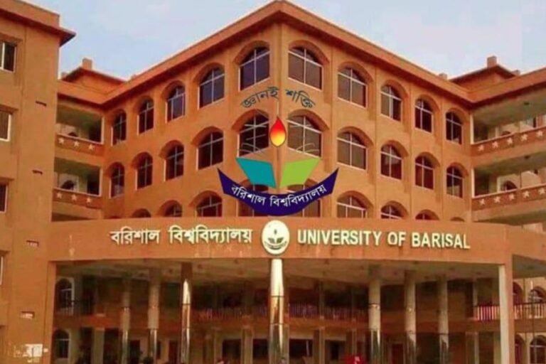 ঠিকাদারের অভিযোগে ববি ছাত্রদলের তিন নেতার বিরুদ্ধে অভিযোগ